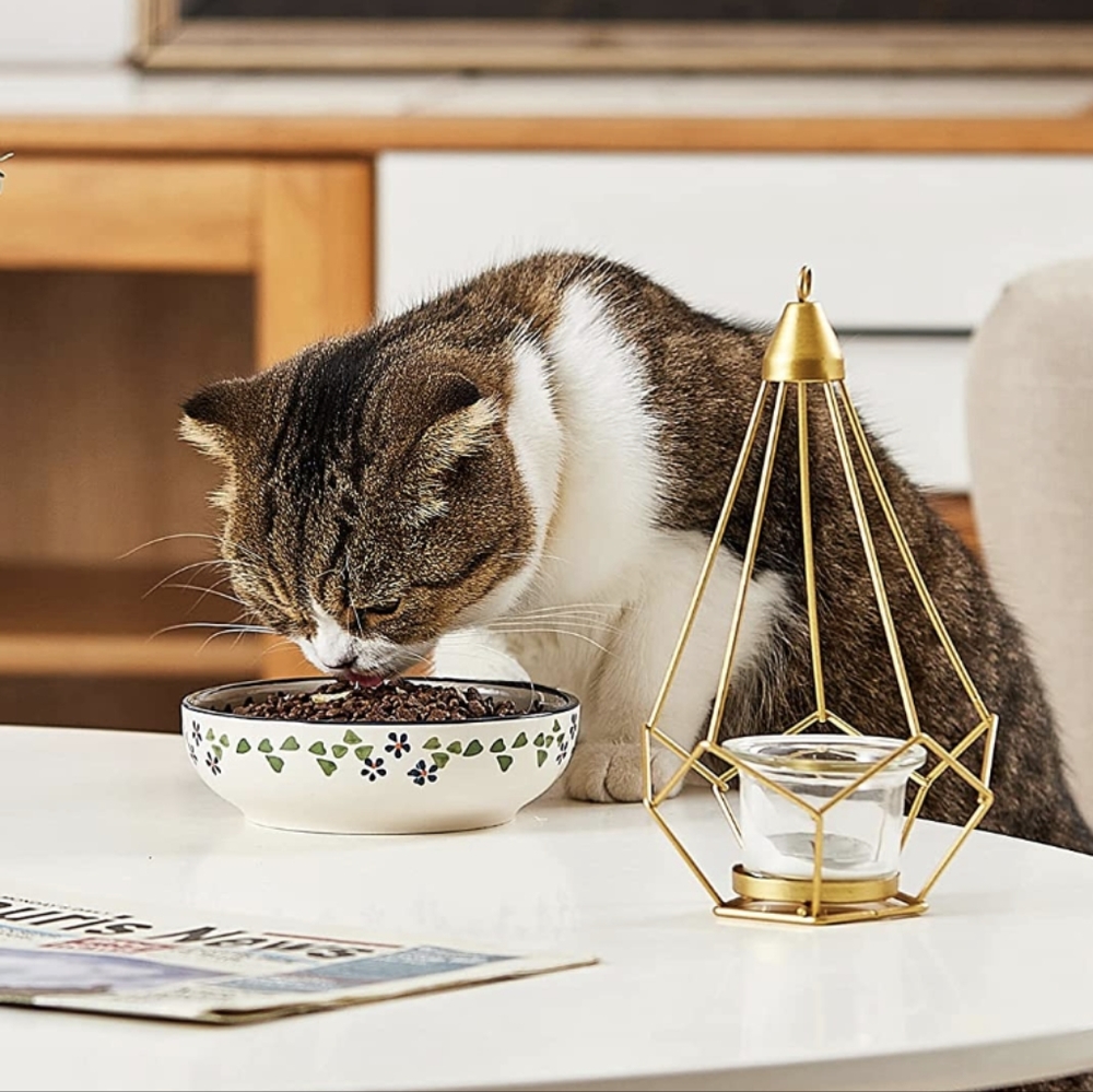 Ceramic Handmade Cat Food Bowl